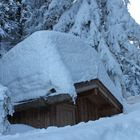 Winter in Tirol