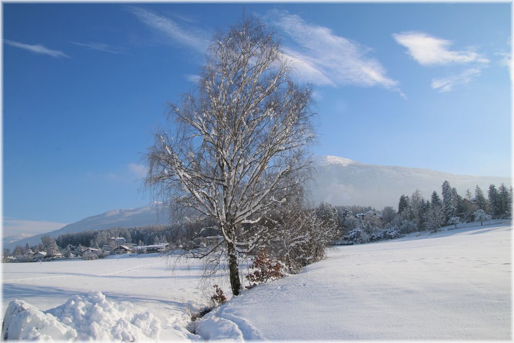 Winter in Tirol ( Bild 2 )