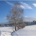 Winter in Tirol ( Bild 2 )
