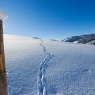 Winter in Tirol