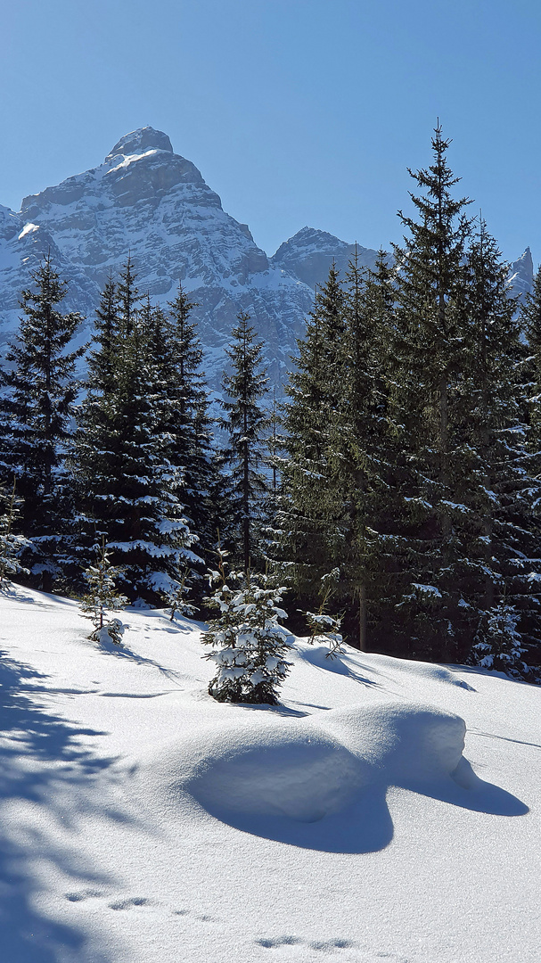 Winter in Tirol