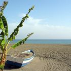 Winter in Torre del Mar