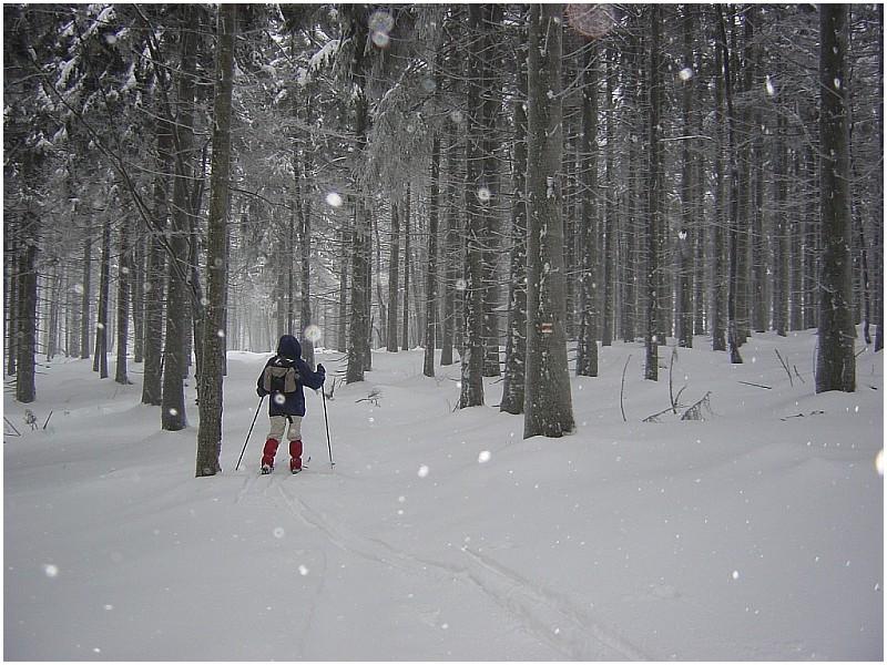 Winter in Tschechien I