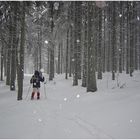Winter in Tschechien I