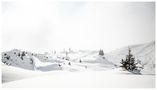 Winter in Tyrol by Torsten Muehlbacher 
