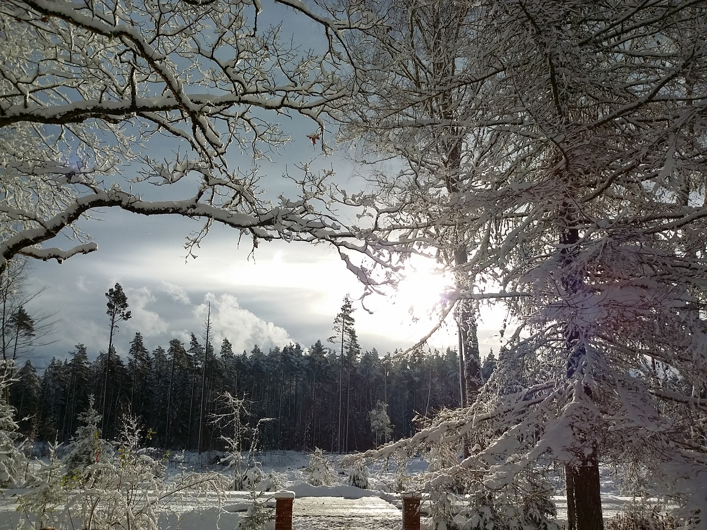Winter in Ulvsmåla Schweden