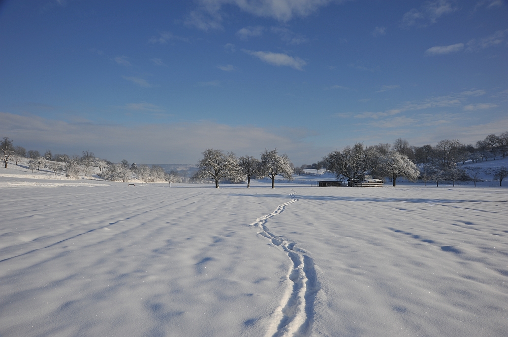 Winter in Unteröwisheim