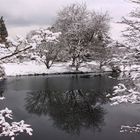Winter in VanDusen Gardens (2)