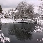 Winter in VanDusen Gardens (2)