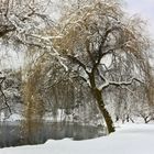 Winter in VanDusen Gardens (3)