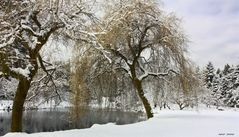 Winter in VanDusen Gardens (3)