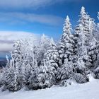 Winter in Vermont, USA II