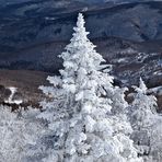 Winter in Vermont, USA III