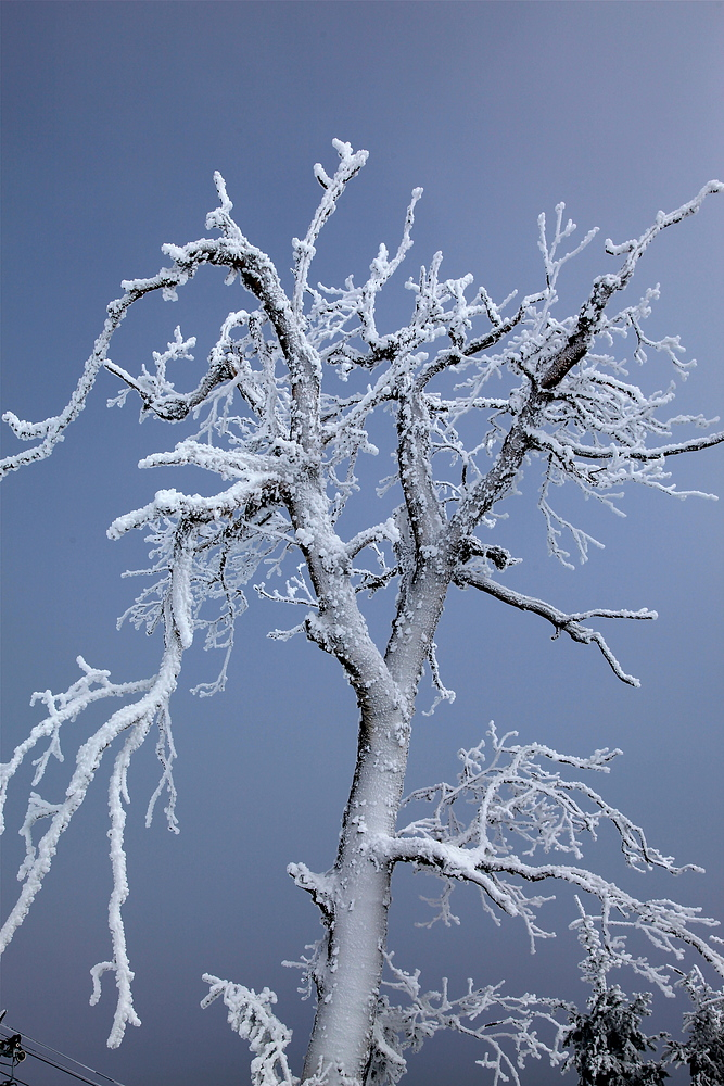 Winter in Vermont, USA IV