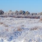 Winter in Vester Husby, DK