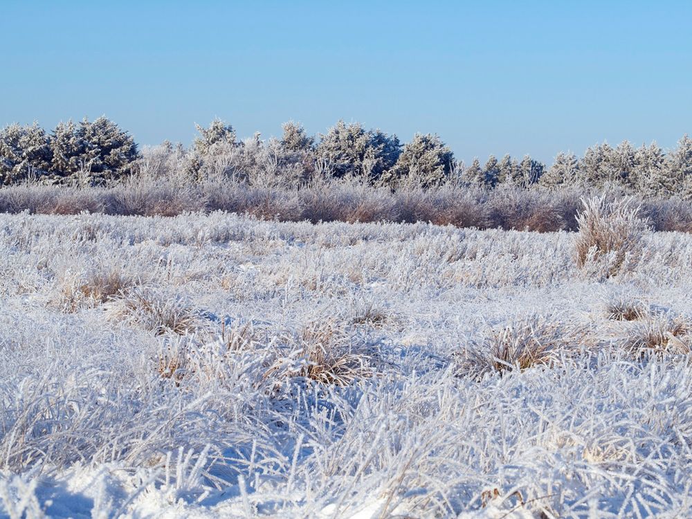 Winter in Vester Husby, DK