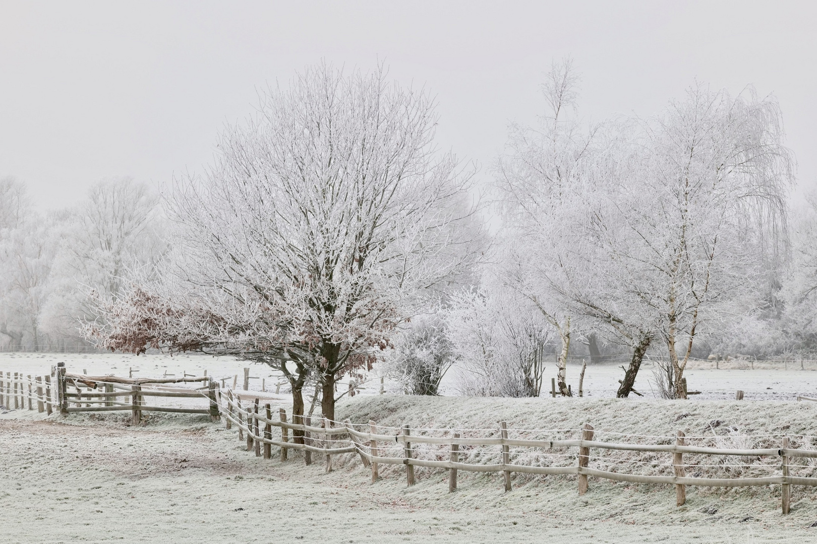 Winter in Vierlanden