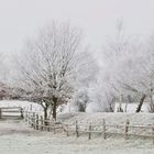 Winter in Vierlanden