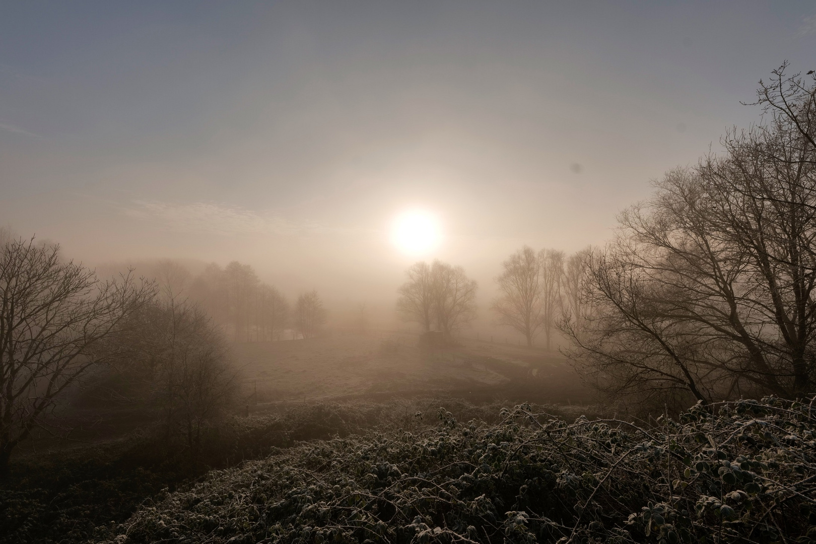 Winter in Vierlanden