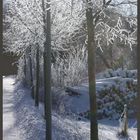 Winter in Völlinghausen