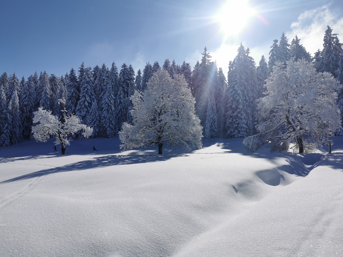 Winter in Vorarlberg 