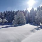 Winter in Vorarlberg 