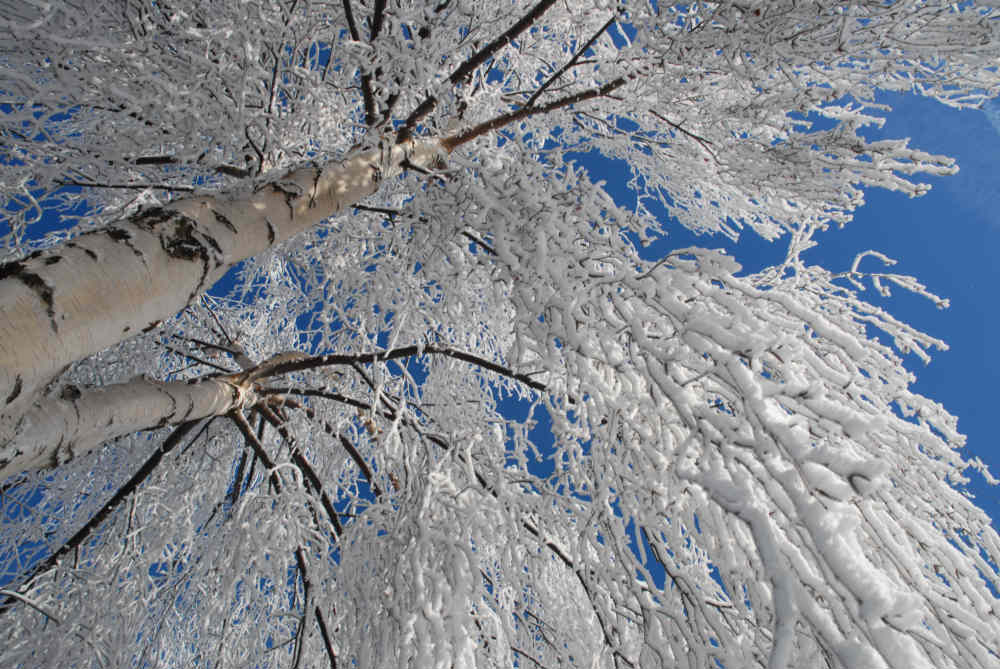 Winter in Wachtberg