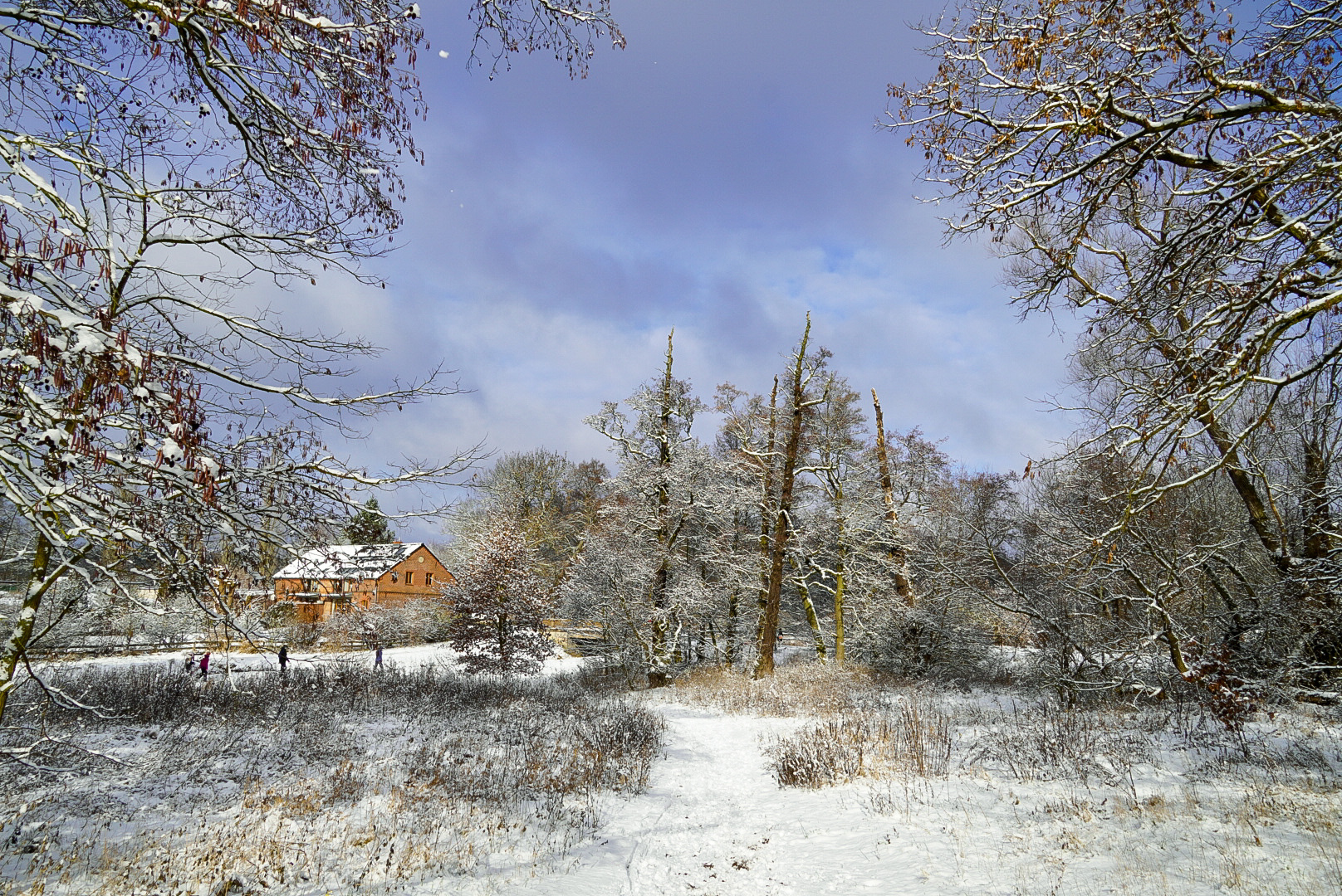 Winter in Waldesruh