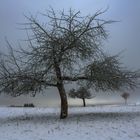 Winter in Waldsolms