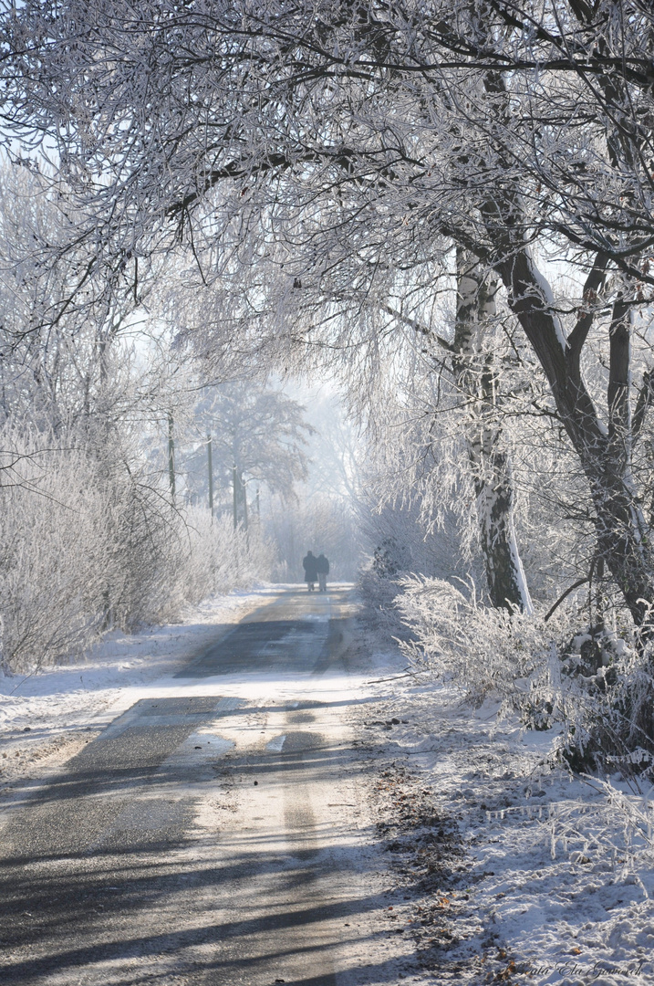 Winter in Walstedde