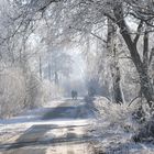 Winter in Walstedde