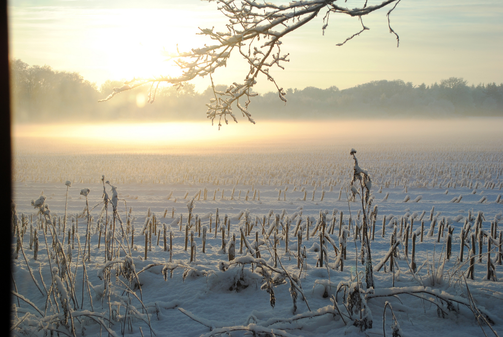 Winter in Wardenburg