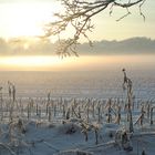 Winter in Wardenburg