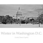 Winter in Washington D.C.