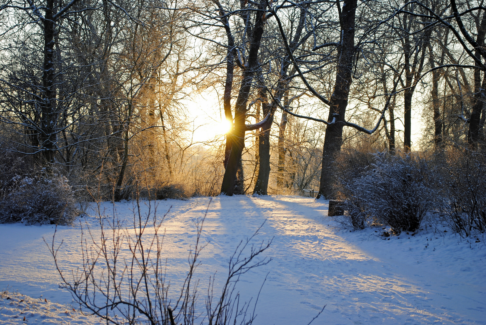 Winter in Weimar