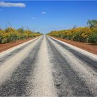 Winter in West Australia **the Derby Road