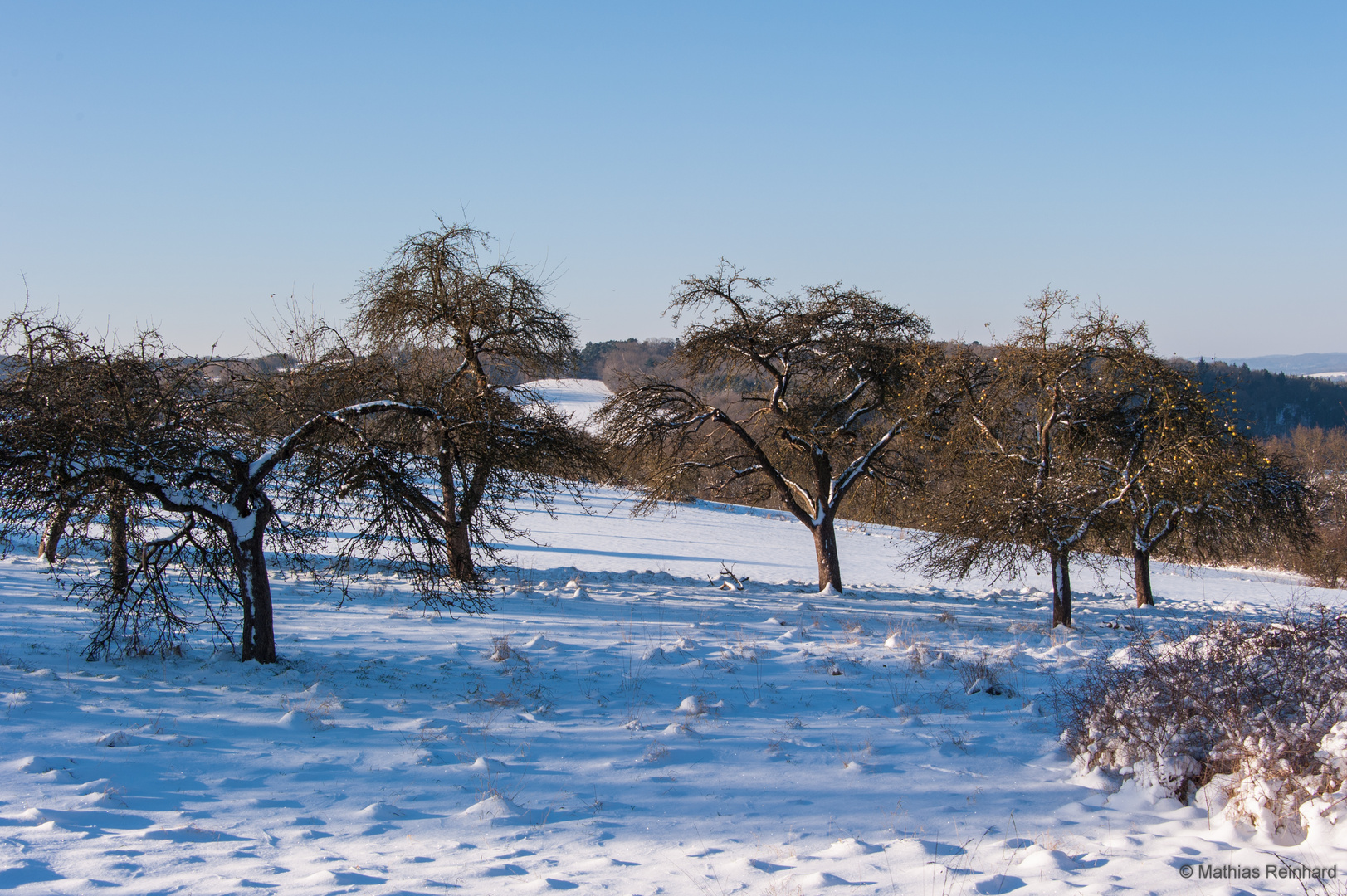 Winter in Wetzlar - Apfelbaumwiese