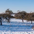 Winter in Wetzlar - Apfelbaumwiese