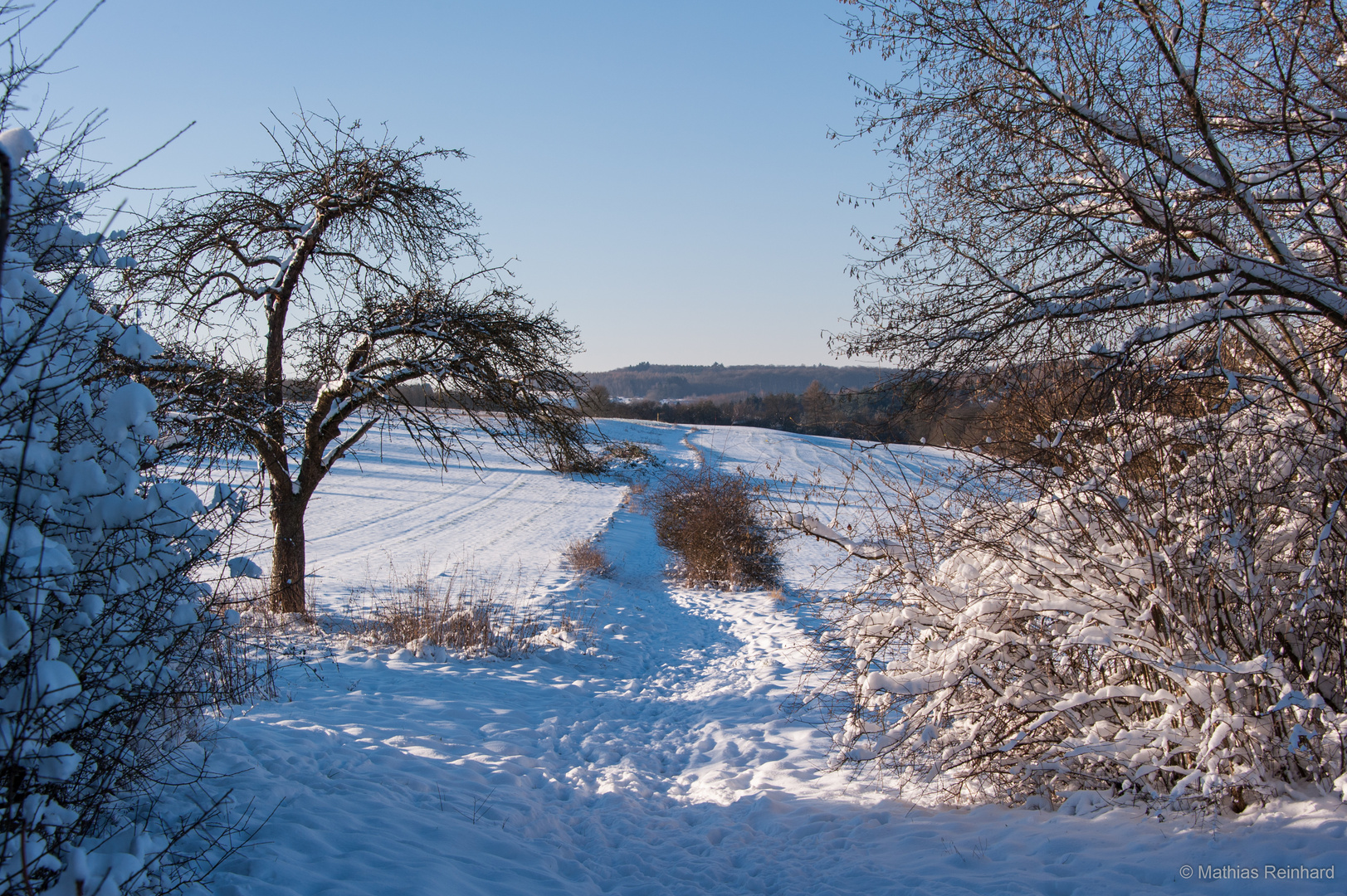 Winter in Wetzlar - freies Feld