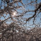 Winter in Wetzlar - Sonnenblick