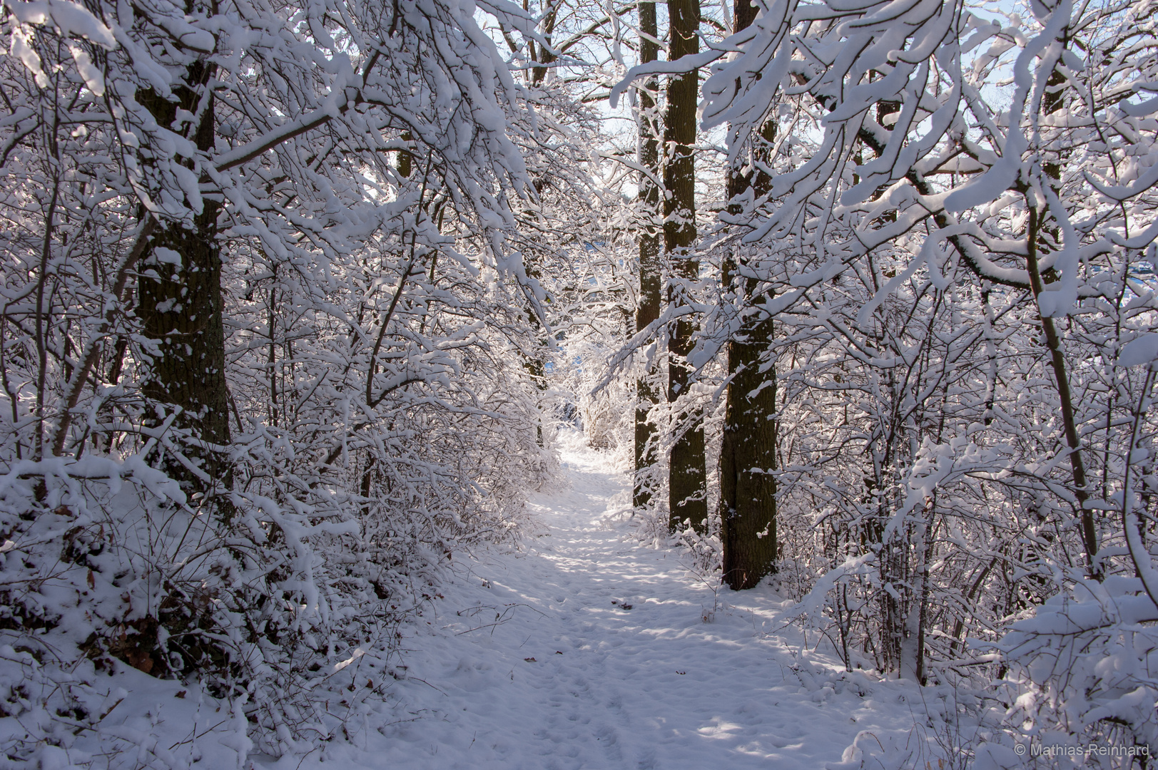 Winter in Wetzlar - Waldweg