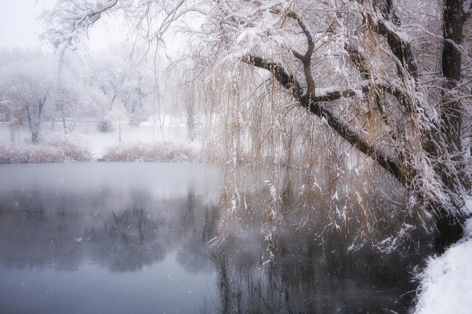 Winter in Wien (1)