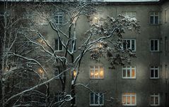 Winter in Wien