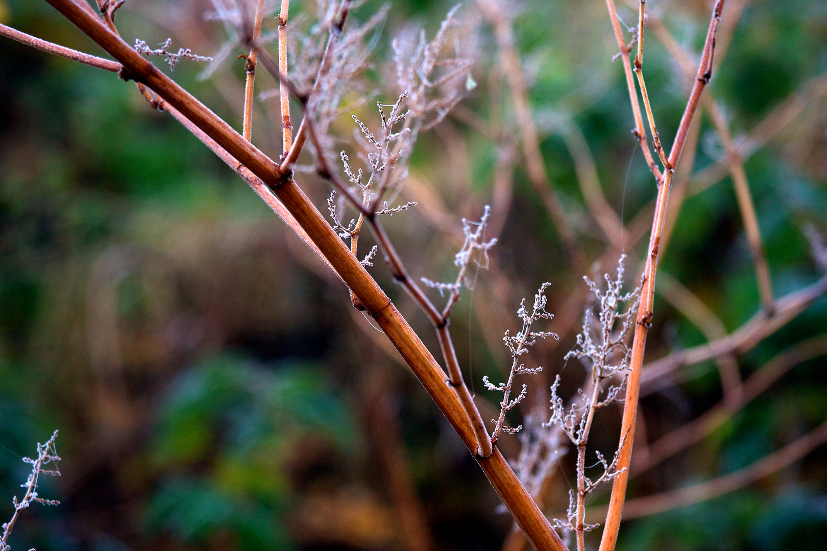 Winter in Wilhelmsburg