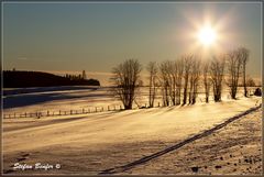 Winter in Wittgenstein