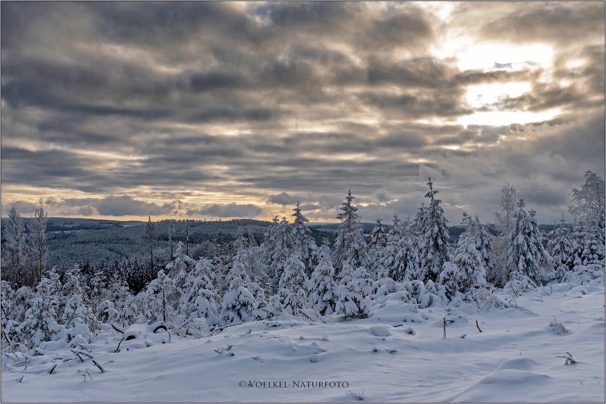 Winter in Wittgenstein III