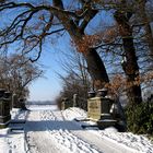 Winter in Wörlitz