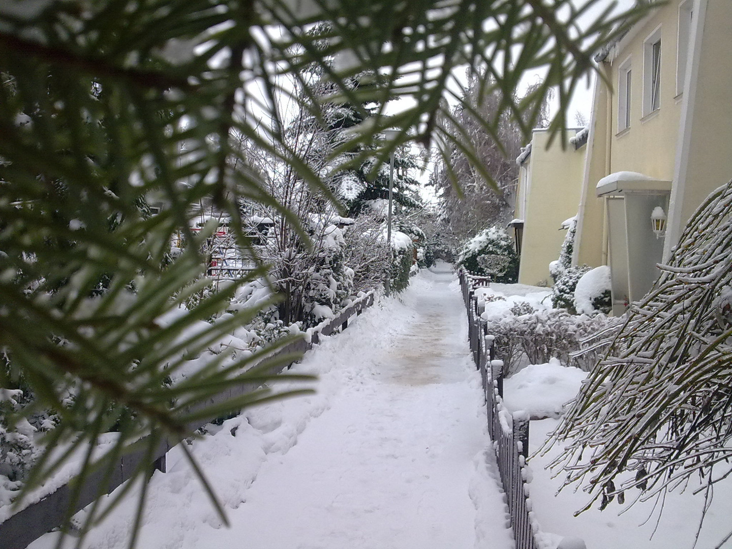 Winter in Wolfenbüttel