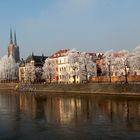 Winter in Wroclaw