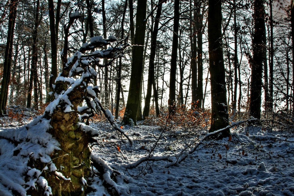 Winter in Wuerttemberg